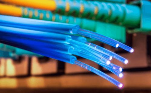 西澳数字生活账本 光纤电缆连接下的终身网络开支揭秘