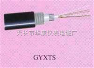 天长市华康仪表电缆厂GYXTS光缆产品报价及采购指南